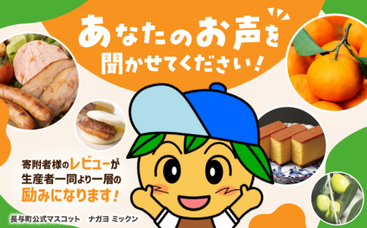 【6回定期便】特撰カステラ3種 和三盆とお濃茶と黒糖（包装未対応）/文明堂総本店 [EAK045] 文明堂カステラ 長崎カステラ かすてら 長崎 人気  和菓子 お中元 お歳暮 ざらめ ザラメ 焼菓子