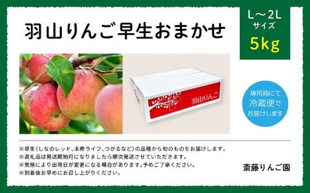 りんご 《2026年8月下旬以降順次発送》羽山のりんご 早生おまかせL～2Lサイズ5kg りんご リンゴ 果物 フルーツ【斎藤りんご園】
