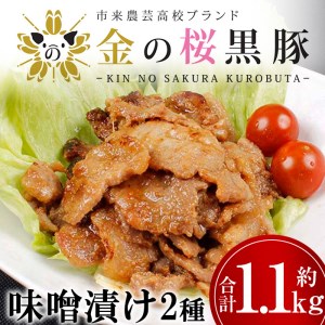  金の桜黒豚味噌漬け(2種・合計約1.1kg)レンジ対応！／いちき串木野産黒豚 高校生が丹精込めて育てた黒豚【A-1406H】