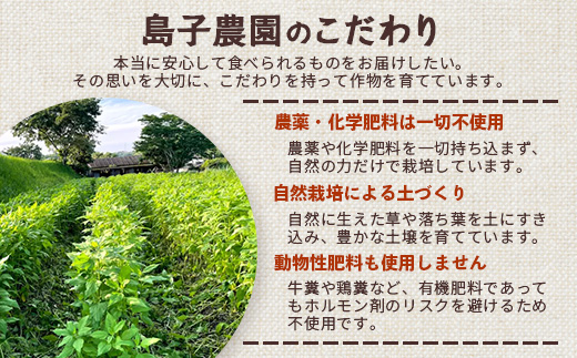 紫色菊芋焙煎パウダー （80g×1袋）　SK-7｜ コーヒー 菊芋 パウダー ノンカフェイン 野菜茶 きくいも お茶 焙煎 ギフト グルメ お取り寄せ 鹿児島県 南大隅町 島子農園