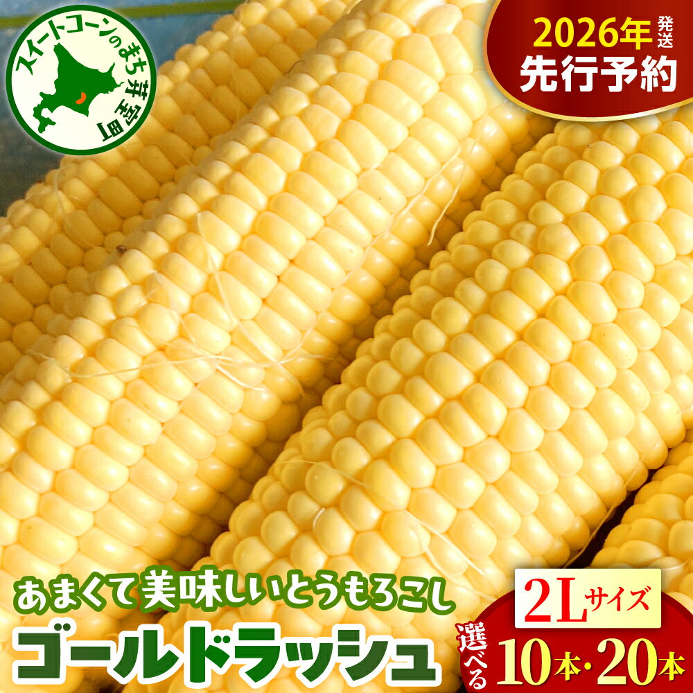【ふるさと納税】【先行予約】 2026年産 とうもろこし 北海道産 ゴールドラッシュ 2L サイズ ( 選べる : 10本 / 20本 )【2026年8月上旬～8月下旬頃配送】 スイートコーン コーン 朝採り 産地直送 糖度 生 野菜 新鮮 BBQ 冷蔵 送料無料 お取り寄せ 北海道十勝 芽室町