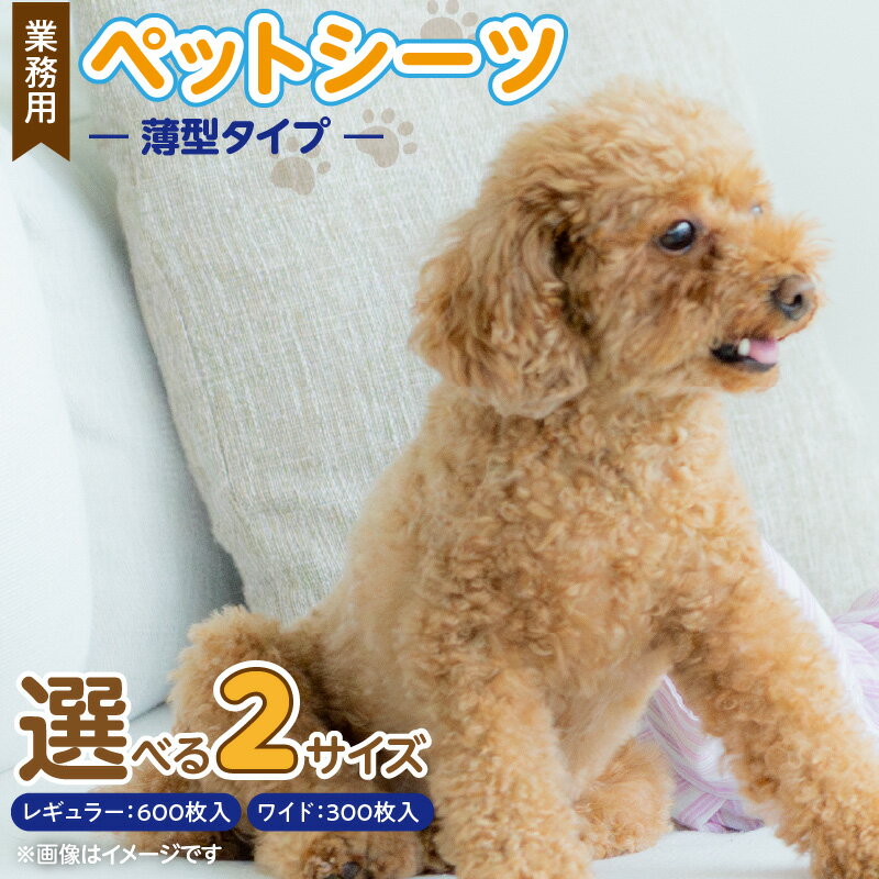 【ふるさと納税】業務用 ペットシーツ スリム 選べる セット内容 ワイド 100枚入×3袋 レギュラー 200枚入×3袋 犬用 吸収力 消臭力 薄型 トイレトレーニングシーツ 愛犬 犬 日用品 消耗品 ペット用品 福岡県 久留米市 送料無料