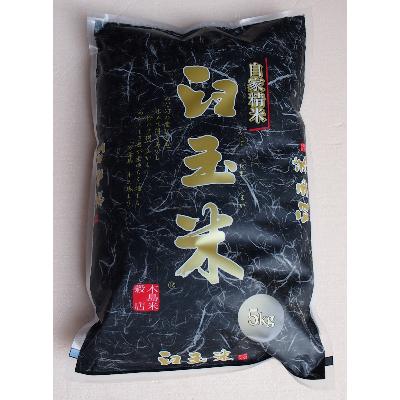 ふるさと納税 糸魚川市 令和7年産 臼玉米(こしいぶき)5kg