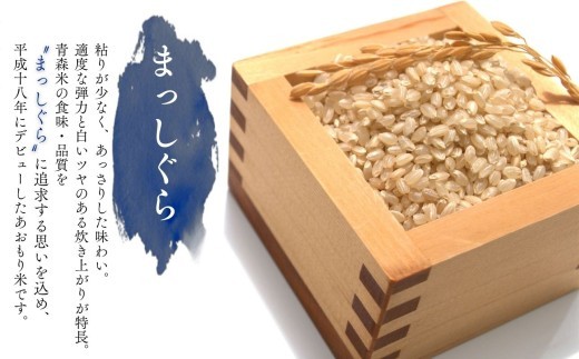 米 玄米【令和8年産 新米】 まっしぐら 10kg 玄米