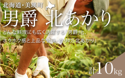 【令和８年産予約受付！】黒木農場　じゃがいも（男爵・北あかり）計10kg[010-211]