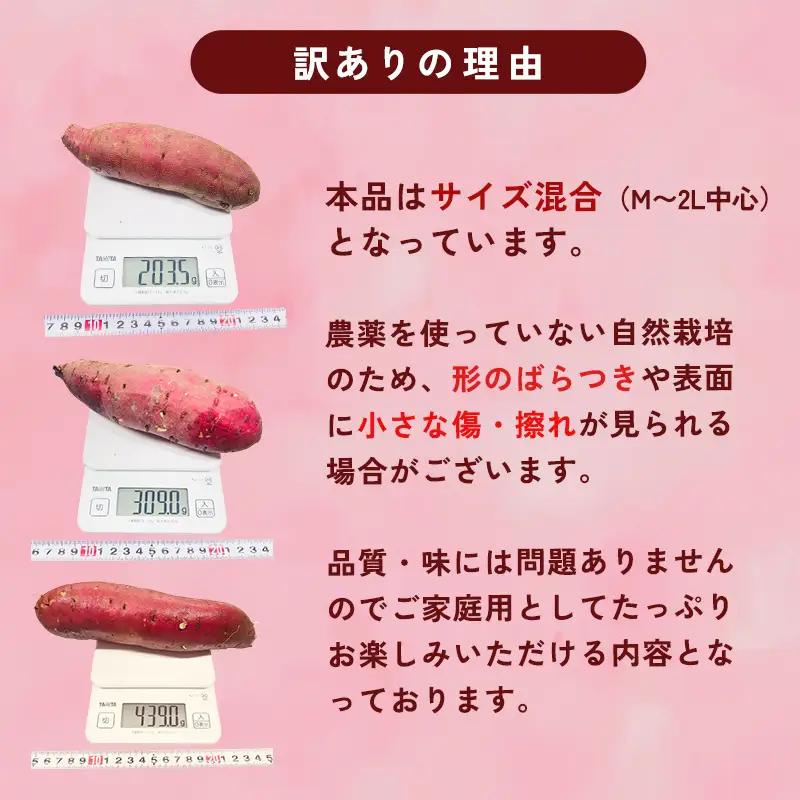 【2027年1月以降発送】 【訳あり】 熟成さつまいも 2kg （紅はるか） 無選別 M～2L混合