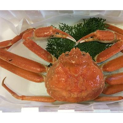 ふるさと納税 北栄町 鳥取県産　厳選!ボイル足折松葉ガニ中1枚(600〜700gサイズ) |  | 01