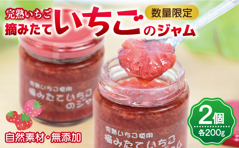 完熟朝摘みいちごのジャム【苺 無添加 自然素材 フルーツ イチゴ 高評価 数量限定 大阪 泉佐野 大阪府 泉佐野市】