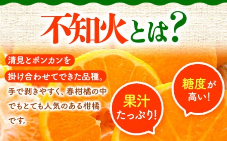 【先行受付】でこちゃん ( デコポン )と同品種 不知火 11玉 長岡農園《2月中旬-4月上旬頃より順次出荷》 和歌山県 日高川町 不知火 旬 柑橘 フルーツ 果物