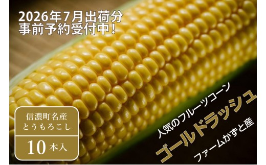 【先行予約】2026年産 朝採れ「ゴールドラッシュ 10本」皮が薄く生でも甘い 高原 とうもろこし 令和8年7月下旬〜8月下旬発送  ファームかずと【長野県信濃町】　