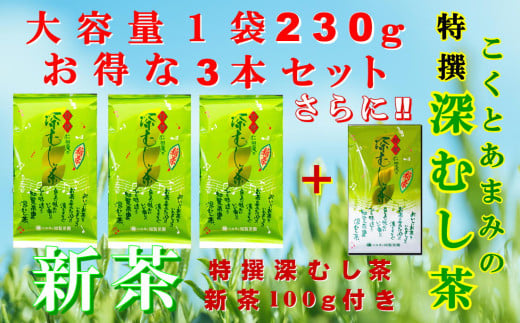 129-08-1 【知覧茶新茶祭り】【期間限定･増量】知覧茶園の特撰深むし茶 大容量 3本セット 特撰深むし茶100g付