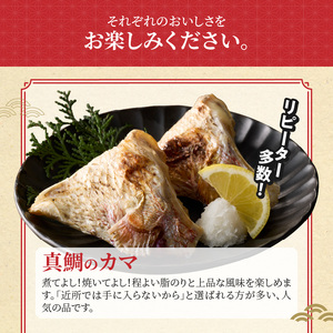 S106-039_選べる真鯛の晩酌セット（真鯛のカマ・真鯛の炙り・刺身用サク）