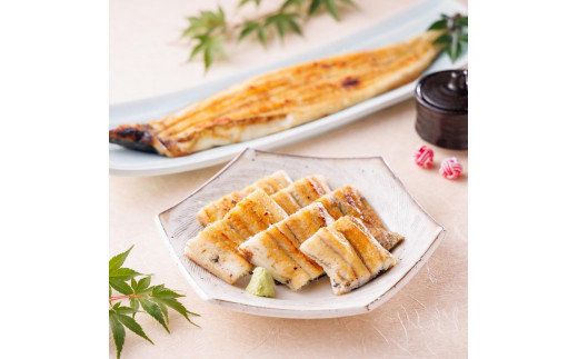 三河一色産手焼き炭火焼き活うなぎ白焼き　170g×2尾セット