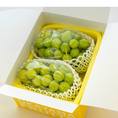 ご家庭用　岡山県産シャインマスカット(クール便)　約1.2kg(2～3房)【配送不可地域：離島】