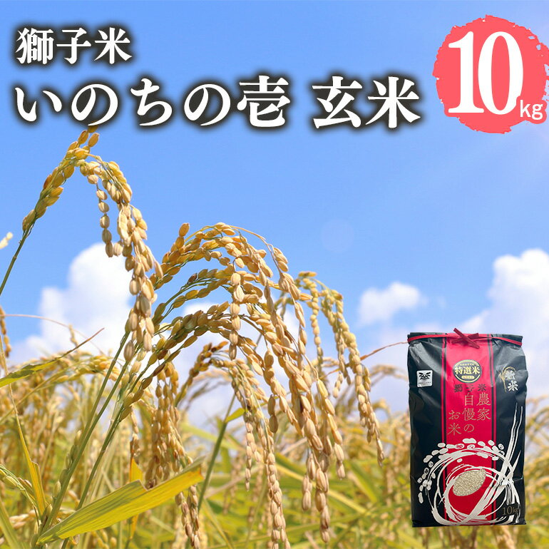 【ふるさと納税】【令和6年産】獅子米 いのちの壱 玄米 10kg 岡田ファーム コンテスト受賞米 お米 米 おこめ ブランド米 10キロ 国産 コメ こめ ご飯 茨城県産 茨城 産直 産地直送 農家直送 ごはん 家庭用 贈答用 お取り寄せ 送料無料 (B02-019)
