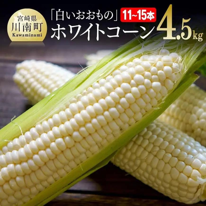 【令和8年発送】政岡さんちのスイートコーン「白いおおもの（ホワイトコーン）」4.5kg スイートコーン