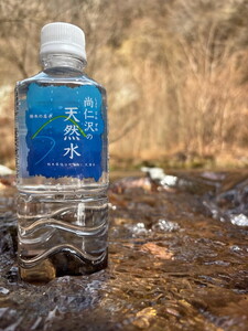 【2ヶ月定期便】＼名水百選認定／尚仁沢の天然水 500ml×24本｜塩谷町 栃木県 軟水 湧水  天然水  ペットボトル