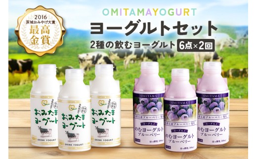【2回定期便】おみたまドリンクヨーグルトセット ヨーグルト ドリンクタイプ 飲むヨーグルト 乳酸菌飲料 ヨーグルト飲料 低糖 低カロリー 敬老の日 お取り寄せ 詰め合わせ プチギフト 誕生日 内祝い スイーツ 腸活 善玉菌 善玉菌ケア 菌活 乳酸菌ドリンク 1-I