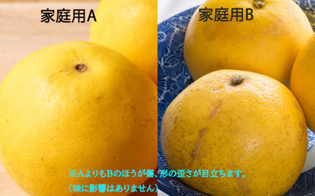成田果樹園 土佐文旦 10kg B 文旦