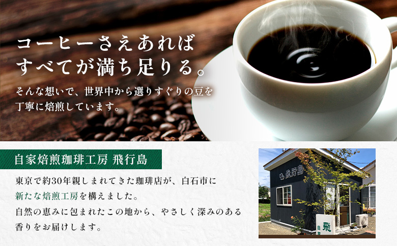 【自家焙煎珈琲工房 飛行島】珈琲豆 2種セット 計400g （200g×各1袋）【4700101】