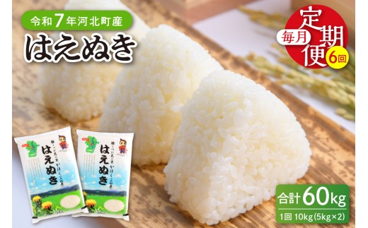 【令和7年産米】※2026年1月下旬開始※ はえぬき60kg（10kg×6ヶ月）定期便 山形県産 【JAさがえ西村山】ka008-010d-r7-01063