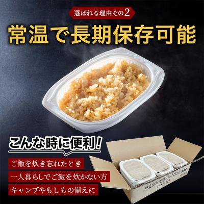 ふるさと納税 山形市 やまがた玄米パックごはん 150g×9個  (つや姫) ラベルレス FZ25-170 |  | 02