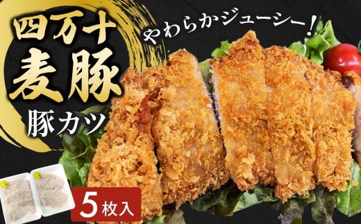 四万十麦豚 豚カツ （約100g×5枚）平野協同畜産 豚肉 麦豚 四万十麦豚 ブランド豚 トンカツ 豚カツ 冷凍カツ 豚ロース 背ロース Ahc-17