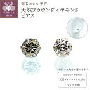 【ふるさと納税】 ピアス ジュエリー レディース メンズ ユニセックス アクセサリー 天然 ブラウンダイヤモンド 0.25ct 1粒 シシングルピアス 片耳用 選べる地金 イエローゴールド K18YG プラチナ PT900 ギフト プレゼント ジュエリーケース付 保証書付 k261-007