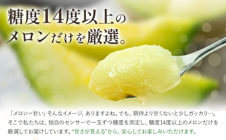 【先行予約】メロン 肥後グリーンメロン 特大 4L ～ 5L サイズ 2玉 約2～2.4kg×2 MOTOYAMA358FARM 《2026年4月中旬-6月中旬頃出荷》 熊本県 菊池市 メロン 果物 