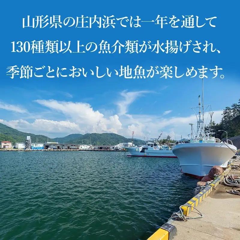 浜のかあちゃんの店　鼠ヶ関港水揚干物＋イカ塩辛＋乾燥紅えびセット　鼠ヶ関水産加工生産組合