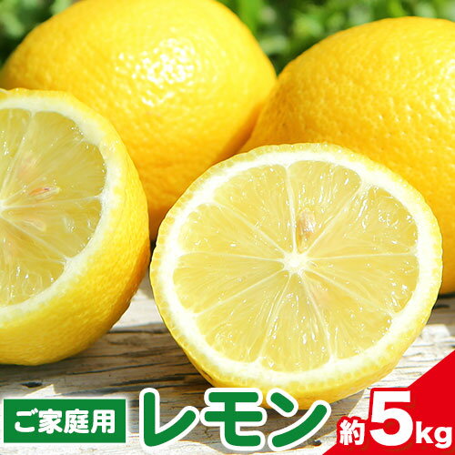 【ふるさと納税】レモン ご家庭用国産レモン 約5kg 主井農園《2月下旬-5月上旬頃出荷》 和歌山県 日高町 れもん レモン 檸檬 lemon 柑橘 国産レモン 料理 レモンサワー 送料無料