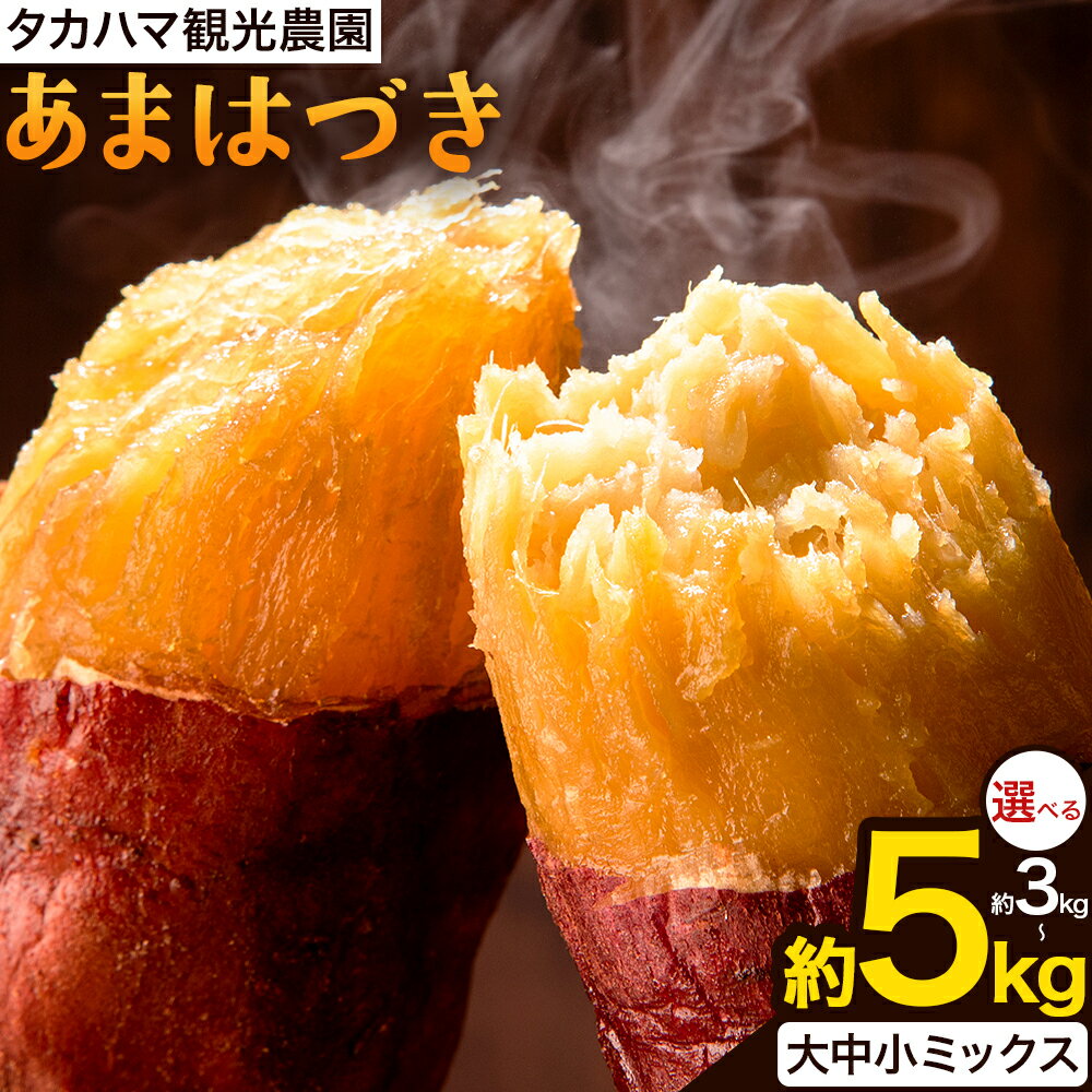 【ふるさと納税】タカハマ観光農園 の あまはづき 3kg 5kg タカハマ観光農園《9月下旬-12月末頃出荷》熊本県 大津町 さつまいも 芋 いも イモ あまはづき アマハヅキ 送料無料