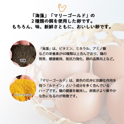 【毎月定期便】計150個【生みたて濃厚】谷川養鶏の赤たまご50ヶ入り(※サイズ指定できません)全3回【配送不可地域：離島】