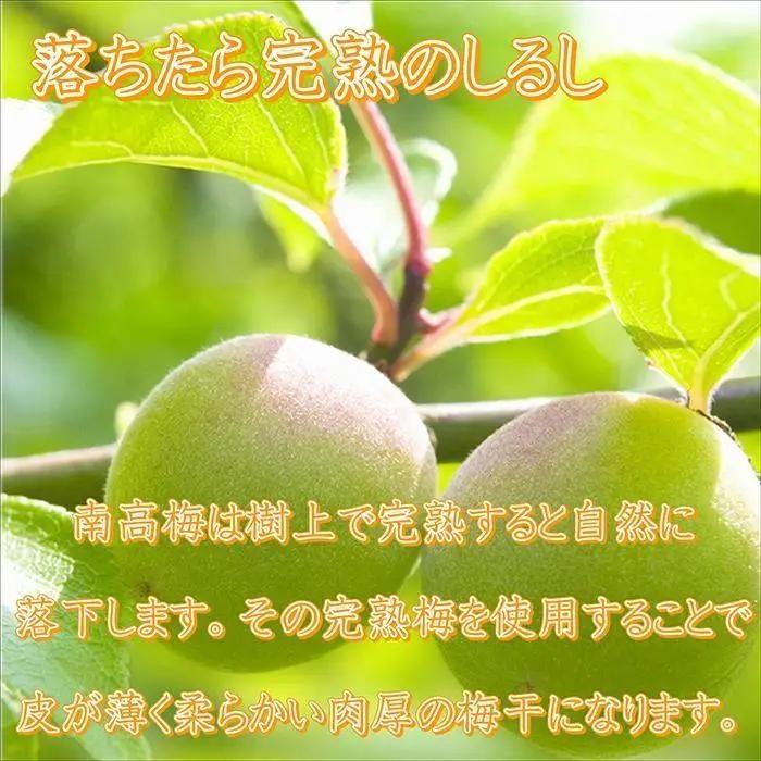 梅干し【農林水産大臣賞受賞】はちみつ梅1.5kg　塩分約8％ 梅干し 印南町【MN2】