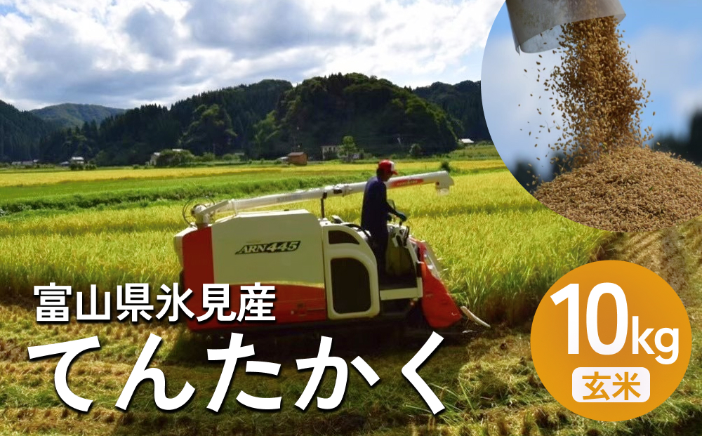 令和7年産 富山県氷見産 てんたかく玄米 10kg 富山県 氷見市 米 てんたかく