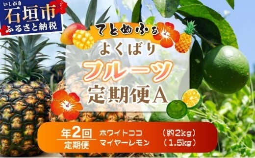 
            《年２回発送》島のおいしいを贅沢に！某TV番組で紹介された希少なホワイトココと青切りマイヤーレモンのよくばり定期便！
          