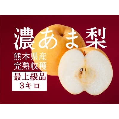 (最上級品)濃あま梨3kg【配送不可地域：離島】【1481569】