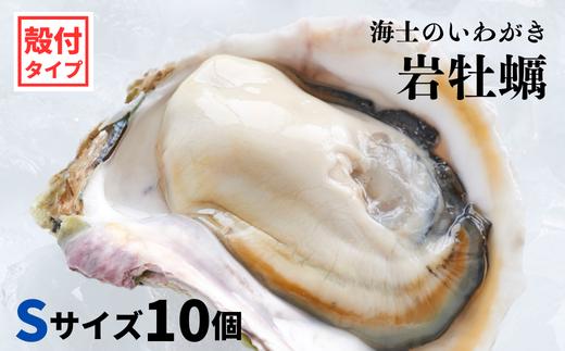 【海士のいわがき】新鮮クリーミーな高級岩牡蠣 殻付きSサイズ×10個