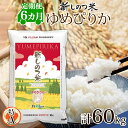 【ふるさと納税】北海道 定期便 6ヵ月 連続 全6回 R6年産 北海道産 ゆめぴりか 10kg 精米 米 ごはん お米 新米 特A 獲得 ライス 北海道米 ブランド米 道産 ご飯 お取り寄せ もちもち 半年 まとめ買い 新しのつ米　定期便　お届け：2025年1月中旬～下旬より発送