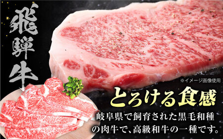 特選飛騨牛 5等級ステーキ(サーロイン400g) / 飛騨牛 焼肉 ステーキ 肉 サーロイン サーロインステーキ A5ランク 牛肉 / 御嵩町 / 肉のキング[AVAG021]