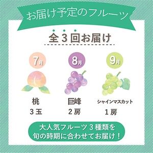 【発送月固定定期便】山梨県産旬の大人気フルーツ【桃・巨峰・シャインマスカット】お試し定期便 全3回【配送不可地域：離島・沖縄県】【4013021】