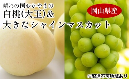 桃 ぶどう 【2026年 先行予約】 晴れの国 おかやま の 白桃 大玉 1.5kg以上(4～6玉) 大きな シャインマスカット 1房800g以上 マスカット ブドウ 葡萄  岡山県産 国産 フルーツ 果物 ギフト