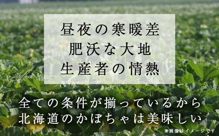 【秋山農園】かぼちゃ　雪化粧4個入り 南瓜 ほくほく 野菜 旬 秋野菜 北海道ふるさと納税