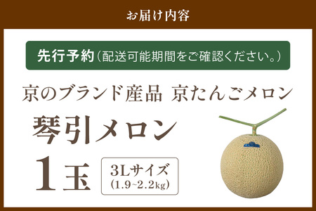 【先行予約】京たんごメロン 琴引メロン 3Lサイズ 1玉（2026年6月下旬～発送）