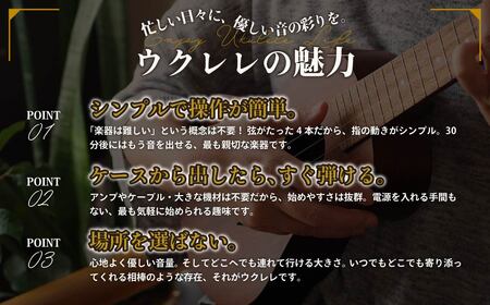 楽器 ウクレレ アルト コンサート ゼファー ウクレレ 楽器