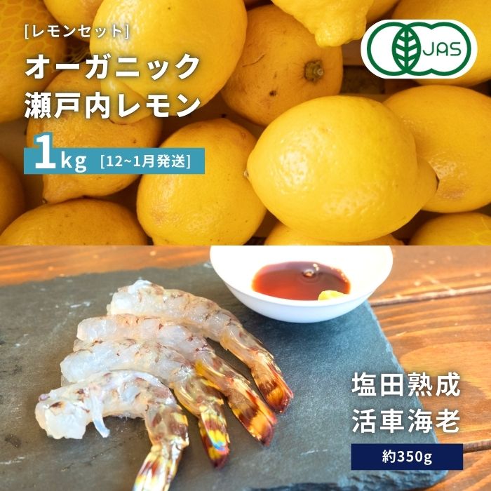 【ふるさと納税】オーガニック瀬戸内レモン 1kg(12~1月発送) / 塩田熟成活車海老 350g オーガニック 有機レモン 有機JAS 果汁100% レモン えび エビ エビフライ 晩酌 国産 瀬戸内 濃厚 甘さ控えめ 免疫力向上 健康 ビタミンC クエン酸 抗酸化 ソーダ 炭酸水