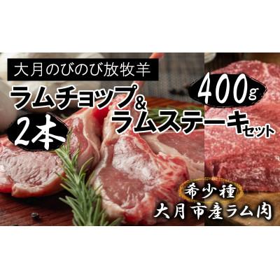 ふるさと納税 大月市 【先行受付】【大月のびのび放牧羊】ラムチョップ2本　ラム肉ステーキセット400g