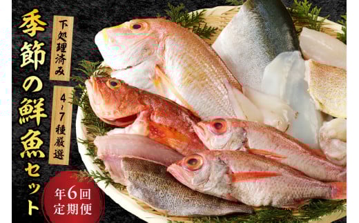 【定期便】季節の鮮魚セット年6回コース 定期便 6回 鮮魚 お任せ お取り寄せ 魚介 鮮魚 セット 下処理済み 【096_0744】