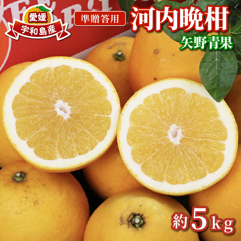 【ふるさと納税】 準 贈答用 河内晩柑 みかん 5kg 矢野青果 和製 グレープフルーツ 晩柑 かわちばんかん 果物 くだもの フルーツ 濃厚 甘い 甘味 さっぱり 酸味 蜜柑 準贈答用 贈答品 贈答 プレゼント 産地直送 農家直送 数量限定 国産 愛媛 宇和島 B012-171014