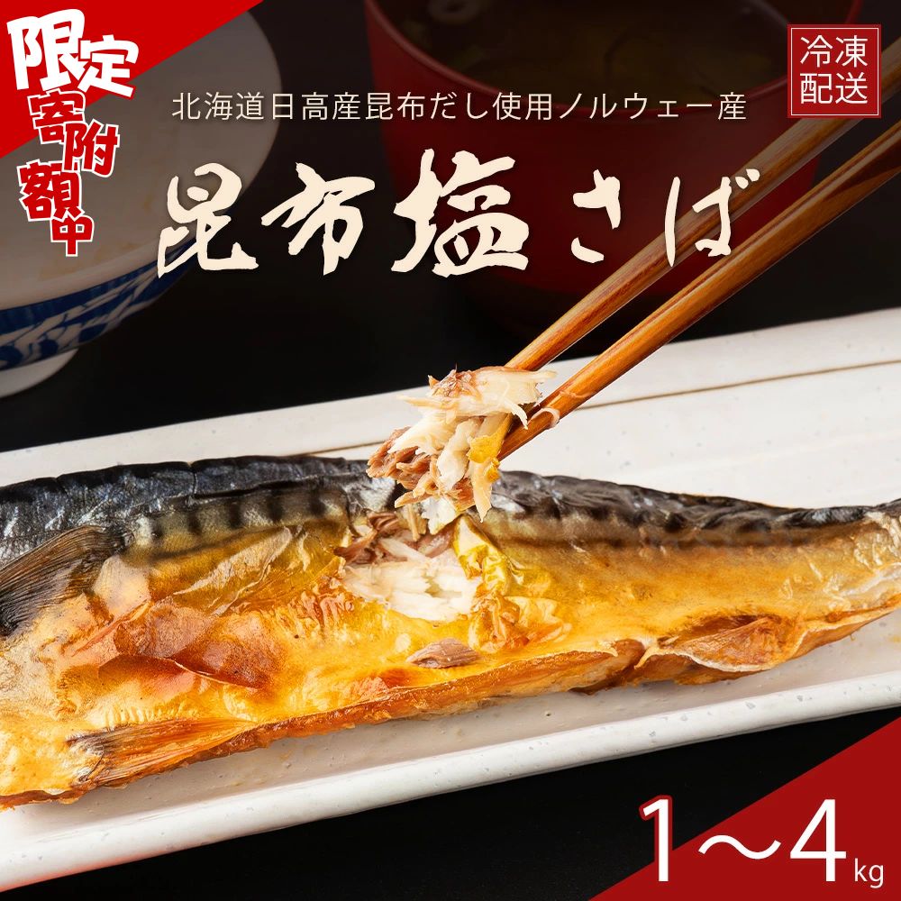 【ふるさと納税】 限定寄附額 限定 訳あり 選べる容量 有塩さば 1kg 2kg 3kg 4kg 鯖 さば サバ 有塩 切身 切り身 冷凍 食品 小分け 大容量 人気 魚 魚介 魚貝 海鮮 お取り寄せ 不揃い 冷凍 送料無料 予州興業 ふるさと納税 愛媛県 四国中央市
